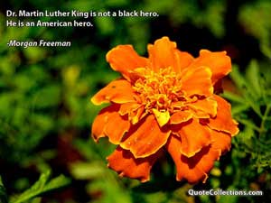 morgan_freeman_quotes Quotes 2